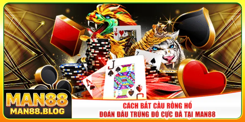 Cách Bắt Cầu Rồng Hổ - Đoán Đâu Trúng Đó Cực Đã Tại Man88