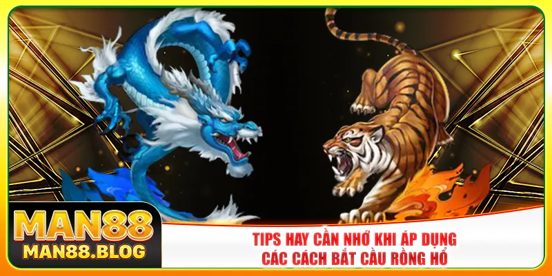 Tips hay cần nhớ khi áp dụng các cách bắt cầu Rồng Hổ