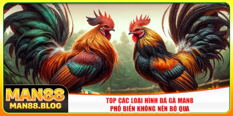 Top các loại hình đá gà Man8 phổ biến không nên bỏ qua Top các loại hình đá gà Man8 phổ biến không nên bỏ qua